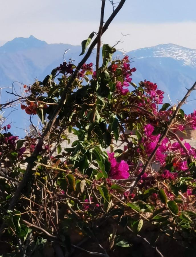 Dar Boumida Ξενοδοχείο Lalla Takerkoust Εξωτερικό φωτογραφία